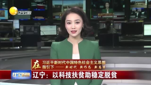 辽宁:以科技扶贫助稳定脱贫