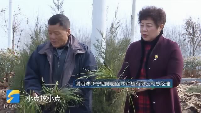 山东好人谢明珠:发展油用牡丹种植 带动村民脱贫致富