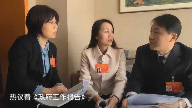 蓝睛看两会:代表热议《政府工作报告》