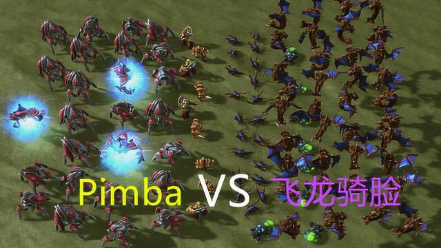 星际争霸:Pimba无敌,飞龙骑脸怎么输?白球打出万吨伤害!