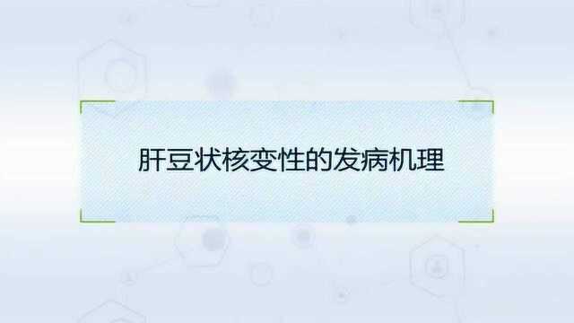 肝豆状核变性的发病机理是什么?