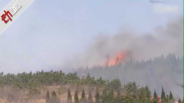 大连一墓园附近突发山火:火焰冲天 暂无人员伤亡