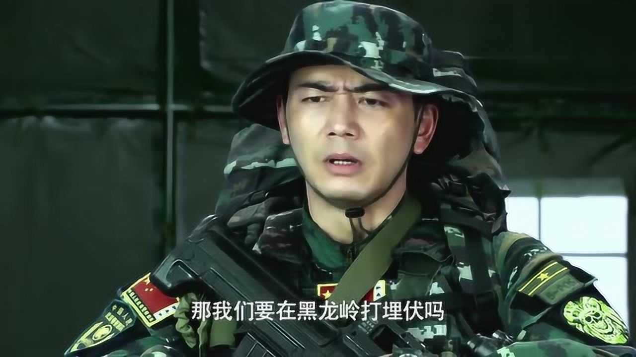 利刃出击收网行动在西南边境诱引虎鲸入境随后实施抓捕