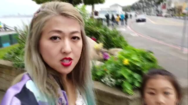 加州vlog042: Napa Valley有着我在加州最美好的回忆