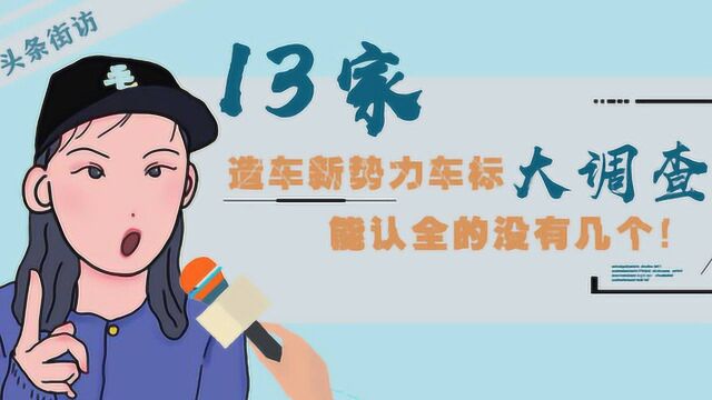 13家造车新势力车标大调查,能认全的没几人!