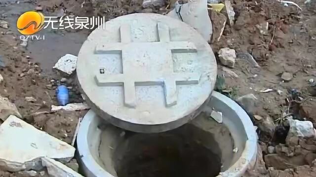 南安霞美:村民爆料油水排进农田,气味难闻作物遭殃田地无法种植