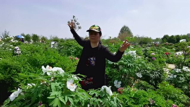 华夏乐舞《天女心咒》明空ⷦ𔛩˜𓩫˜山牡丹园