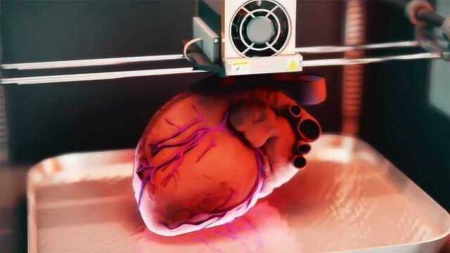 3D打印可以打印器官?大学打印出人体心脏,下一目标是动物实验!