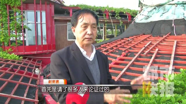 26层楼顶现“空中花园” 绿植下还有两层阳光房