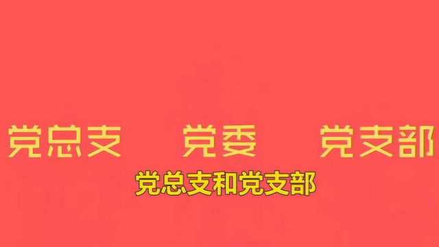 党委、党总支、党支部的区别有哪些