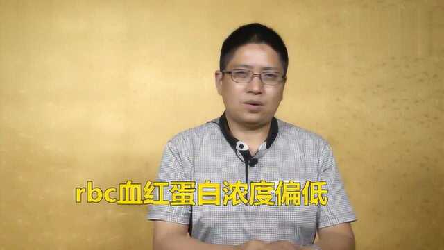 平均rbc血红蛋白浓度偏低怎么办?