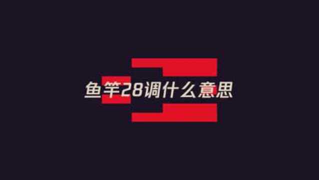 鱼竿28调是什么意思