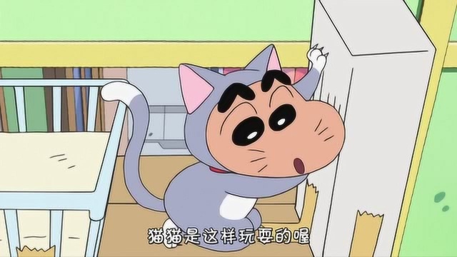 蜡笔小新新番:小白的猫塔