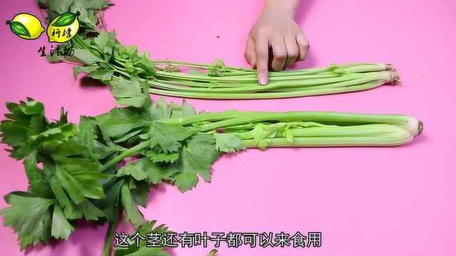 芹菜和西芹有什么区别?无意听芹菜种植户说漏嘴,以后别再瞎买了