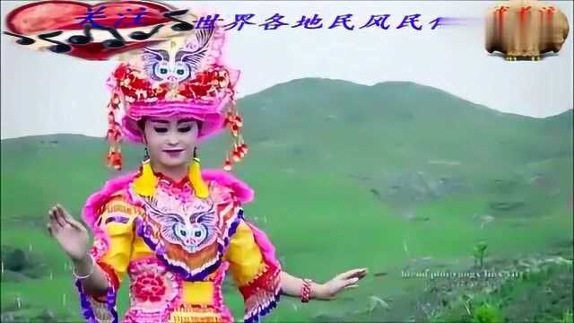 苗族美女王蓝花经典歌曲《大雁传情》