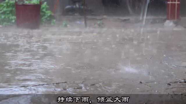 河南南阳:今天下午突降暴雨,雨真大,农民伯伯笑开了花