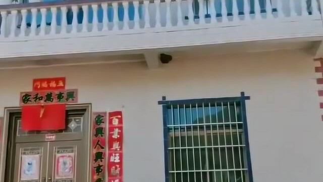 农村自建两层楼房,这设计,简单又温馨,喜欢吗?