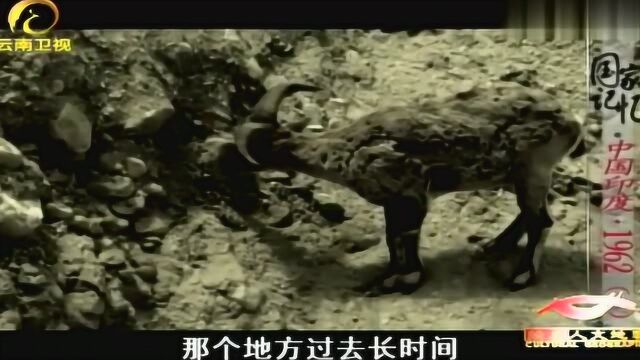 1956年新藏公路修建,尼赫鲁得知后谴责称阿克赛钦是印度领土