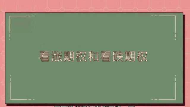 看涨期权和看跌期权的区别