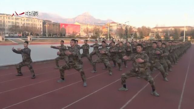 瑜伽进军营丨武仲良带领特种兵练起“功夫瑜伽”