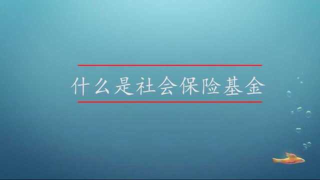 什么是社会保障基金呢