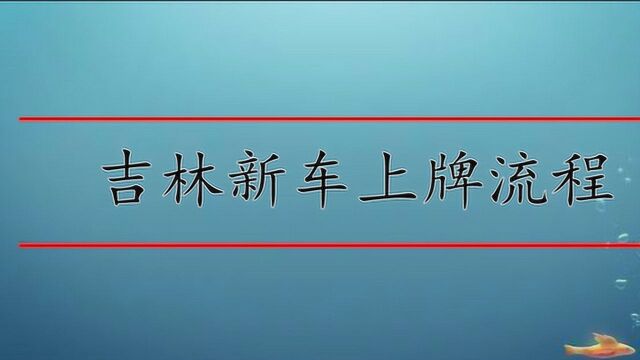 吉林市新车上牌流程