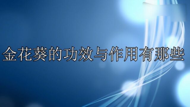 金花葵提炼的前景怎么样?