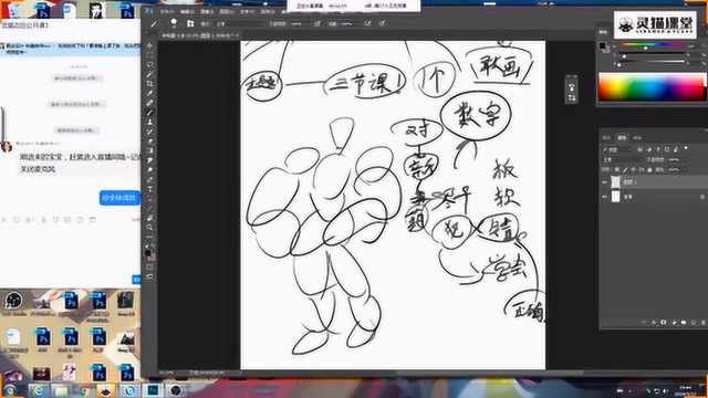 初学者如何学画画?插画绘画基础入门教程!