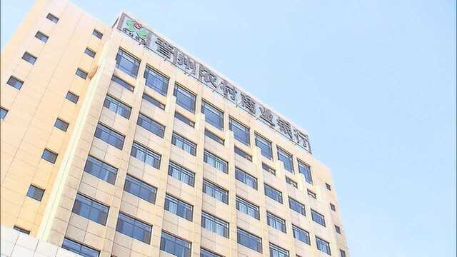 河北:引金融活水 强实体经济