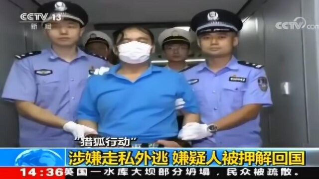 涉嫌走私固体废物外逃 嫌疑人孙某被押解回国