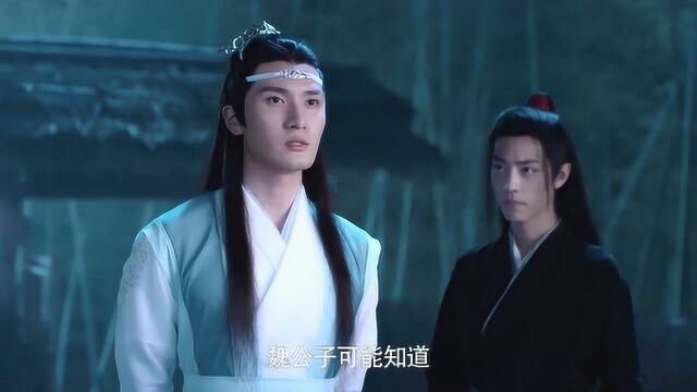 陈情令:原来蓝湛还有这样的往事,魏无羡听了都心疼,傻孩子