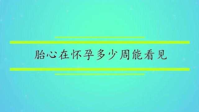 胎心在怀孕多少周能看见