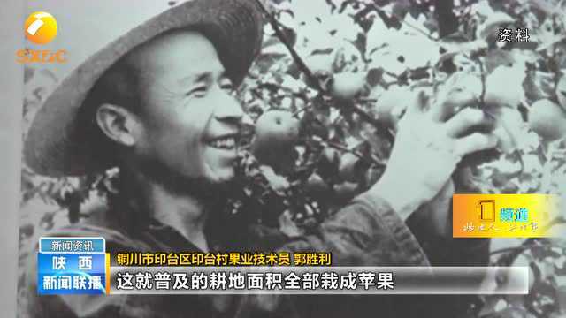 壮丽70年 奋斗新时代 建设宜居宜业新铜川