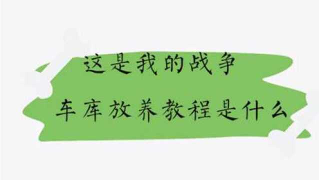 这是我的战争车库放养教程是什么