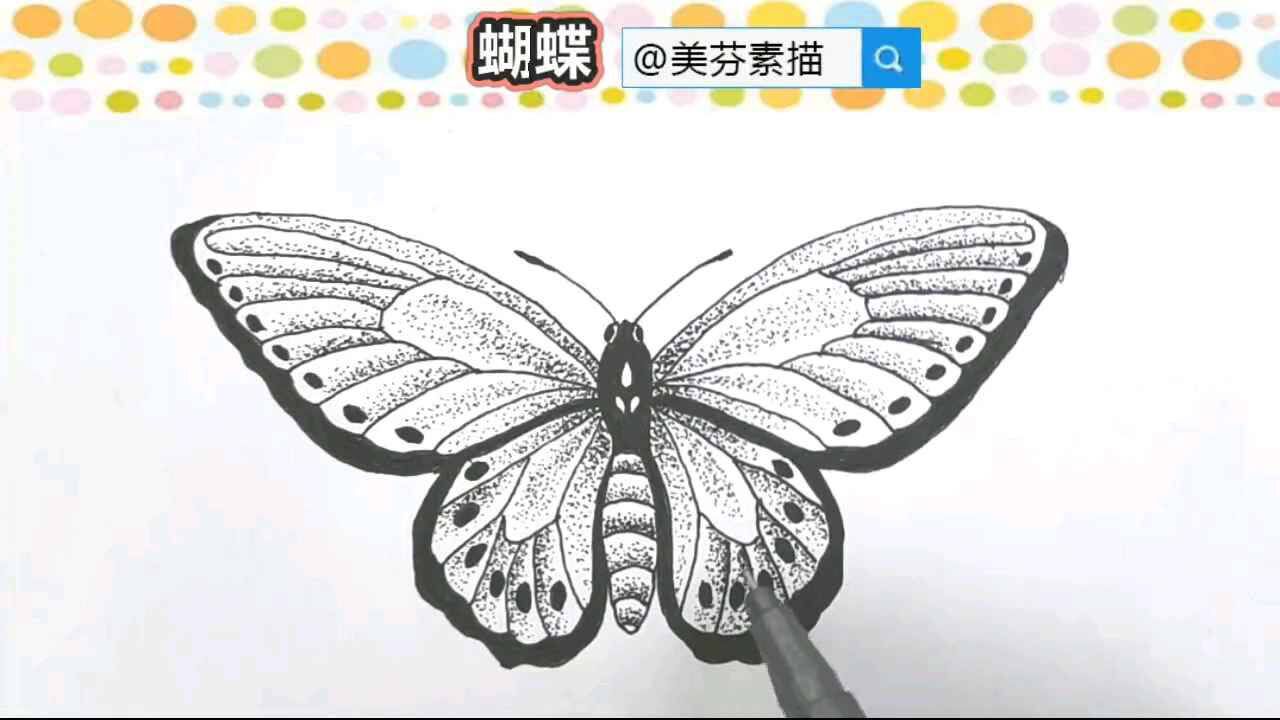 简单又好看的蝴蝶素描入门教程教你画超逼真蝴蝶速写手绘画
