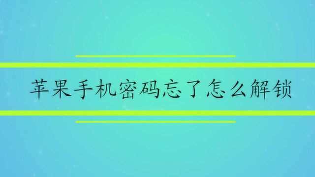 苹果手机密码忘了怎么解锁