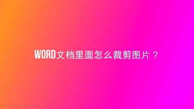 word文档里面怎么裁剪图片?