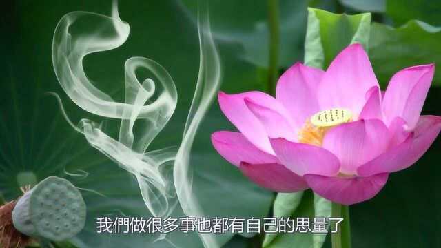 禅语佛心:人到五十请记住这四句忠告!