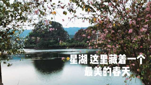 这里的风景真美