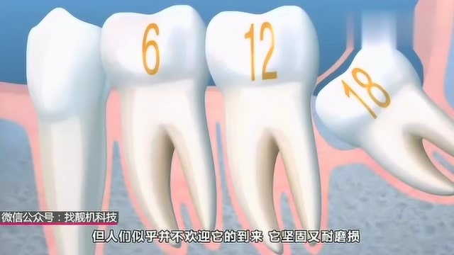 200万年后,人类身上哪些器官会消失?说出来你都不信