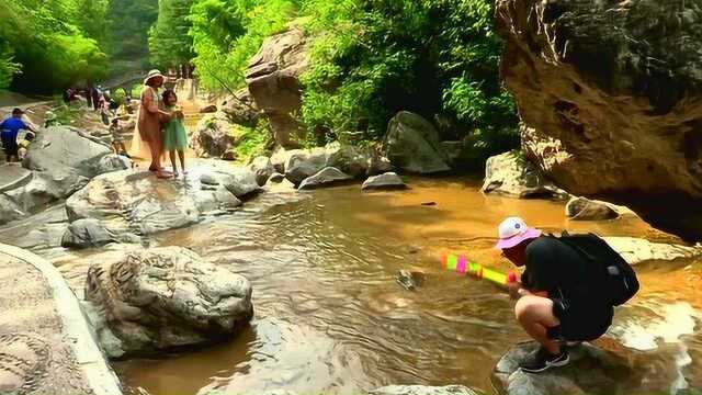 中原游一一青天河佛耳峡夏季举家游玩圣地