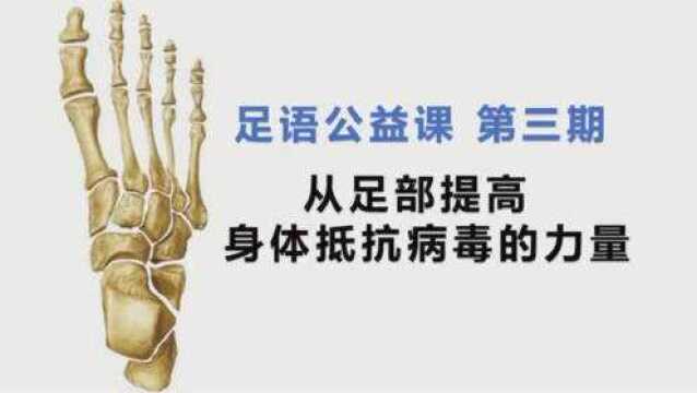 足语系列课程第三期——从足部提高身体抵抗病毒的力量