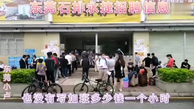 东莞石排招聘信息