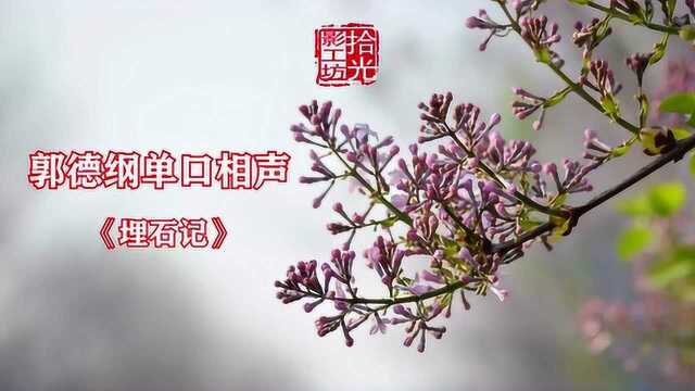 郭德纲评书《埋石记》