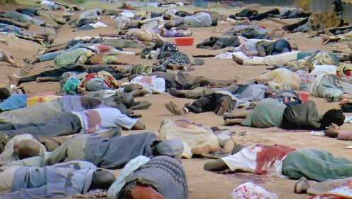 根据真实事件改编，卢旺达100天内被屠杀80万人，联合国却坐视不管！