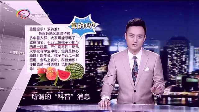 西瓜和桃子一起吃会中毒?专家:谣言!没有任何科学依据的