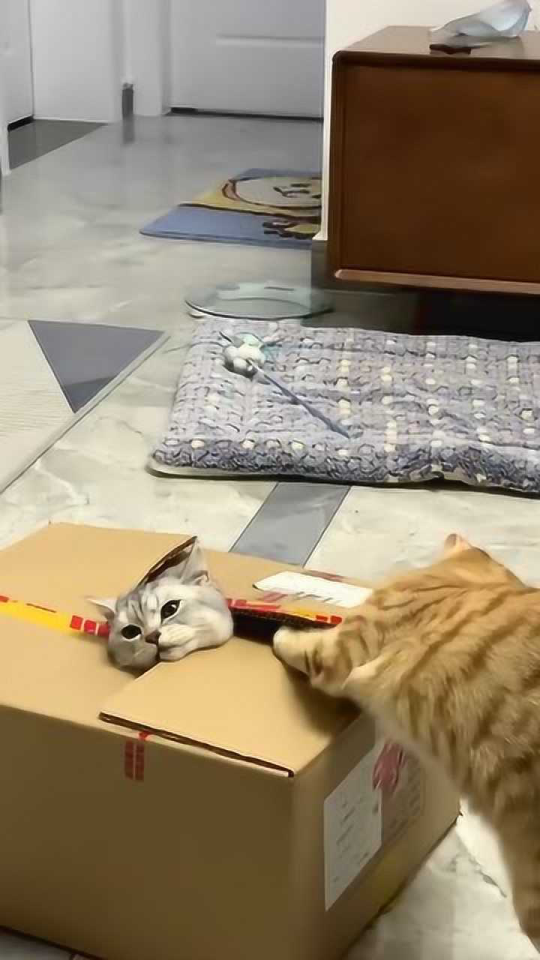 Thumbplayer Poster Plugin Image