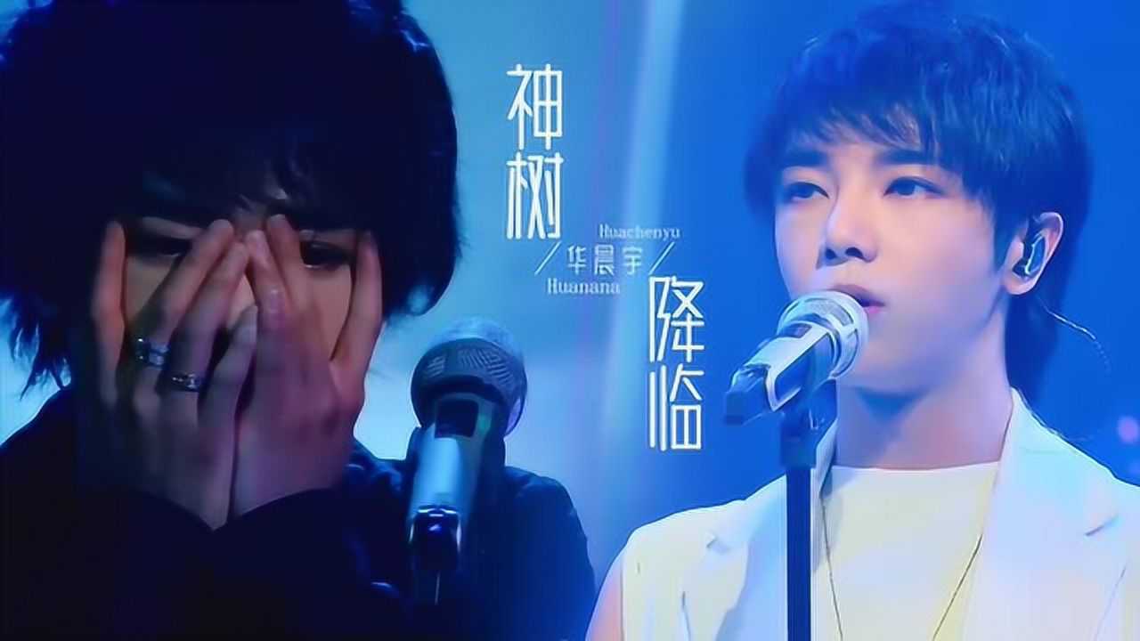 华晨宇神树 物理降温