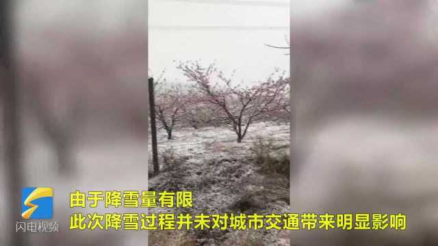 59秒丨潍坊昌乐乔官镇迎来降雪,10日凌晨气温或将降至零下