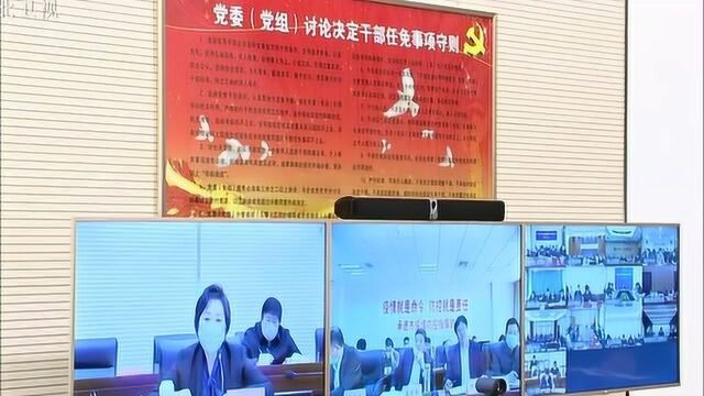 河北推进外资外贸商贸流通文旅业发展调度暨协调组工作会议召开